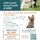 Arcadia Animal Hospital pet cleaning special offer flyer
