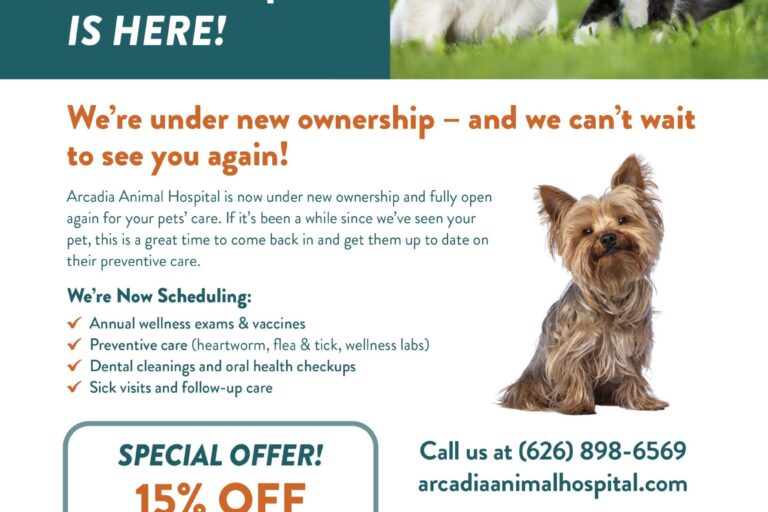 Arcadia Animal Hospital pet cleaning special offer flyer