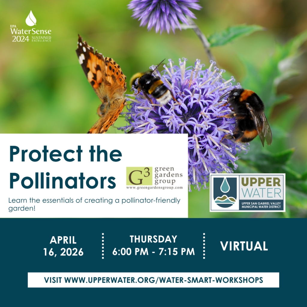 protect the pollinators workshop with Upper Water District flyer 