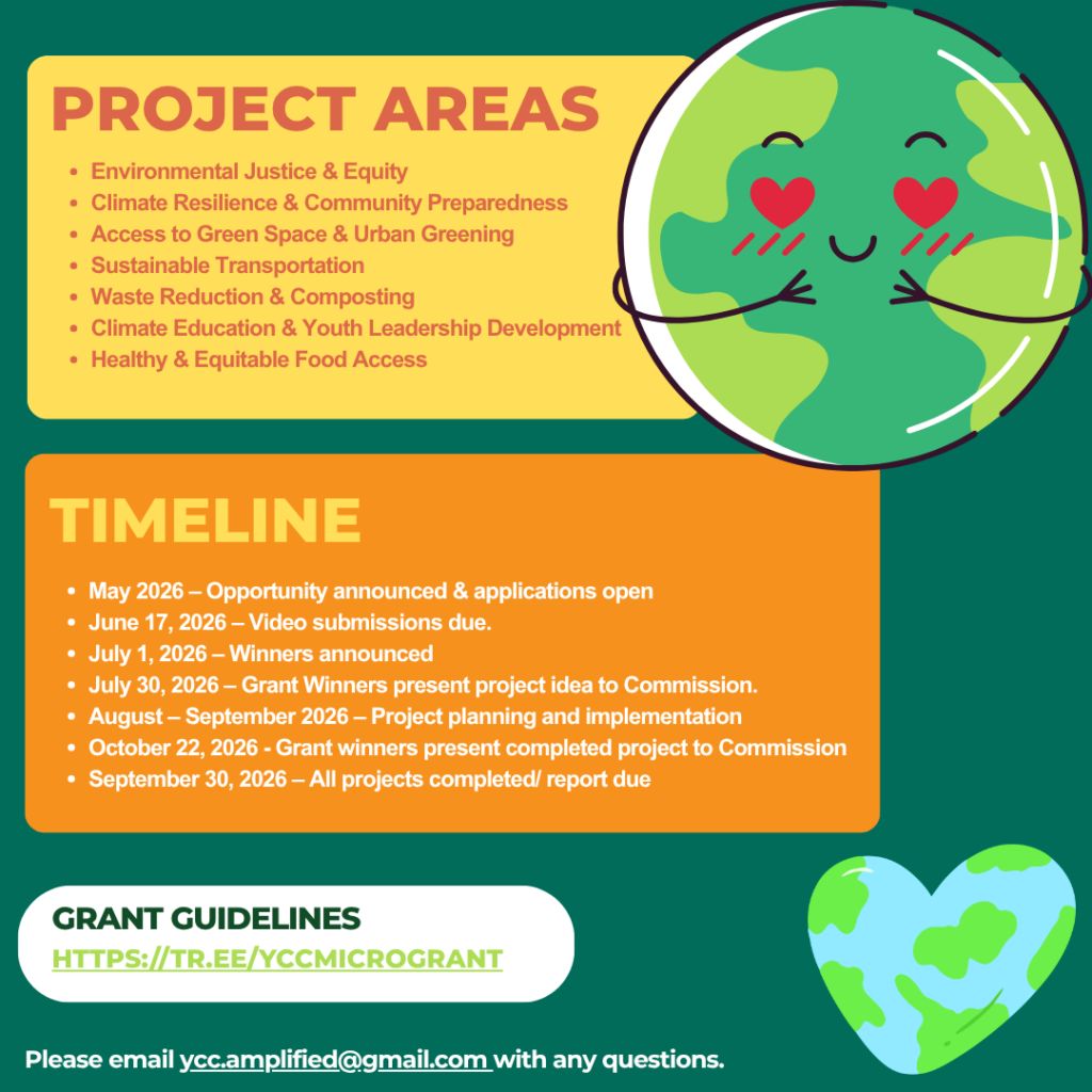 youth mini grant opportunity from LA County