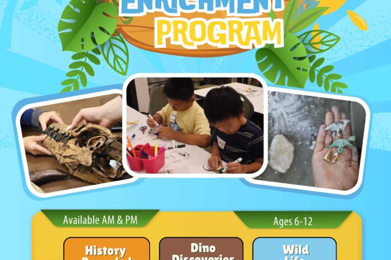 summer enrichment programs with the Gilb Museum flyer