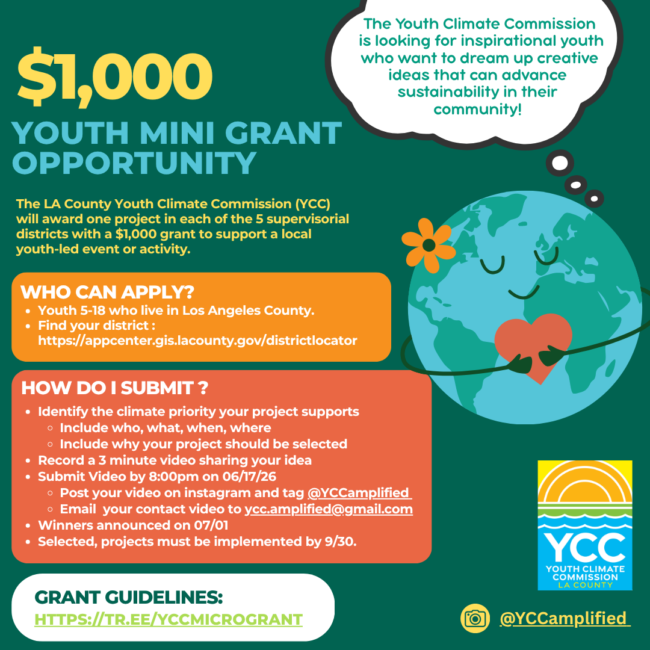 youth mini grant opportunity from LA County
