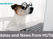 a dog in glasses looking at a computer screen
