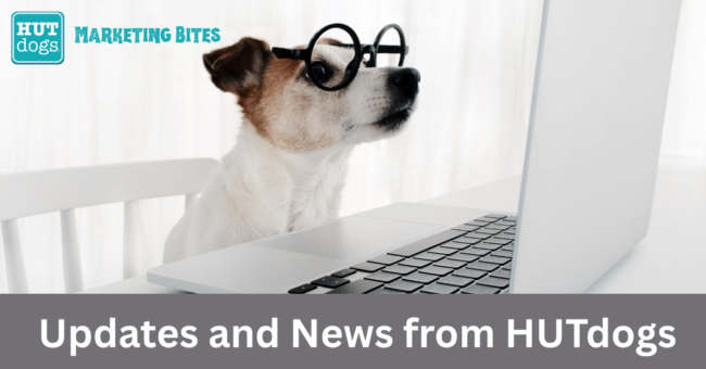 HUTdogsUpdateNews a dog in glasses looking at a computer screen