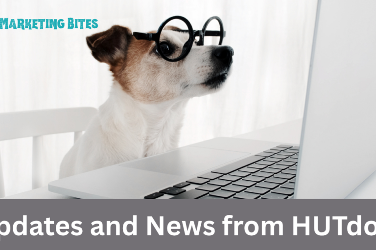 a dog in glasses looking at a computer screen