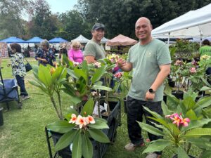 two people posing with a plumeria tree