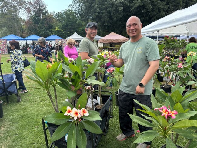 two people posing with a plumeria tree