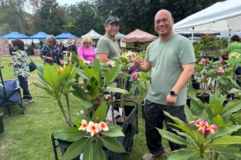 two people posing with a plumeria tree