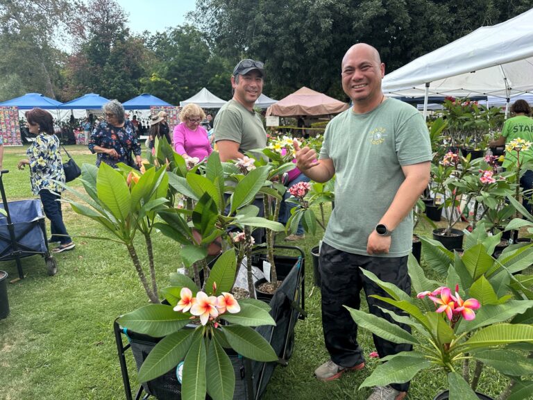 two people posing with a plumeria tree