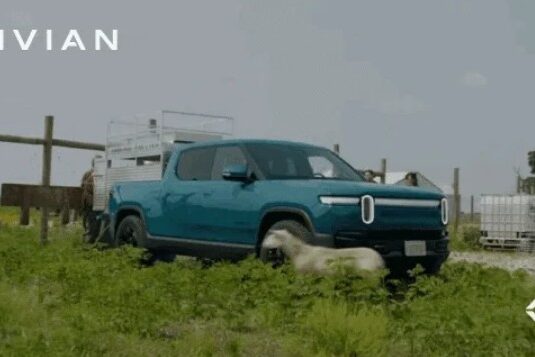 a sheep running past a Rivian truck