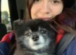 a woman with a cute, sugar-faced black dog on her lap