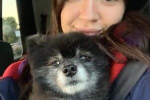 Screenshot 2026-07-21 150738 a woman with a cute, sugar-faced black dog on her lap