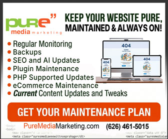 Website Maintenance flyer for Pure Media Marketing services.