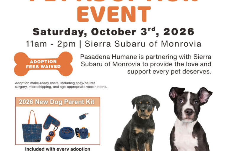 pet adoption event at Sierra Subaru