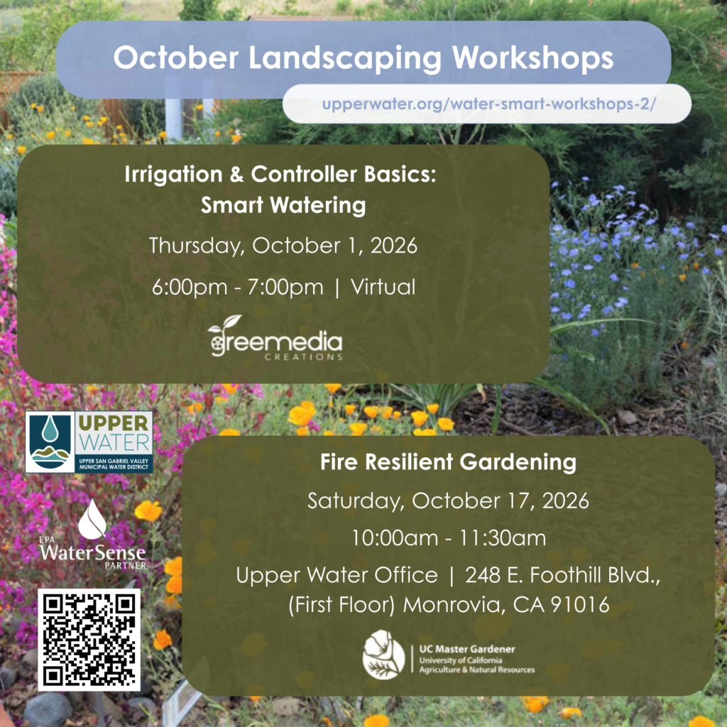 upper water landscaping workshop