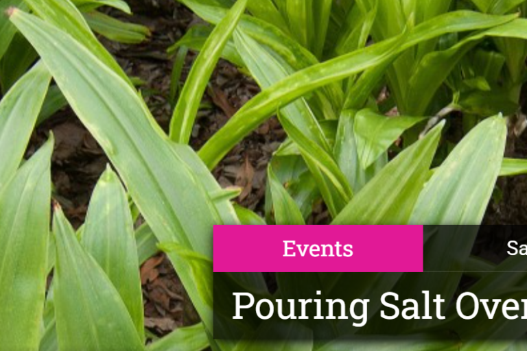 Pouring Salt over Ink banner for LA Arboretum