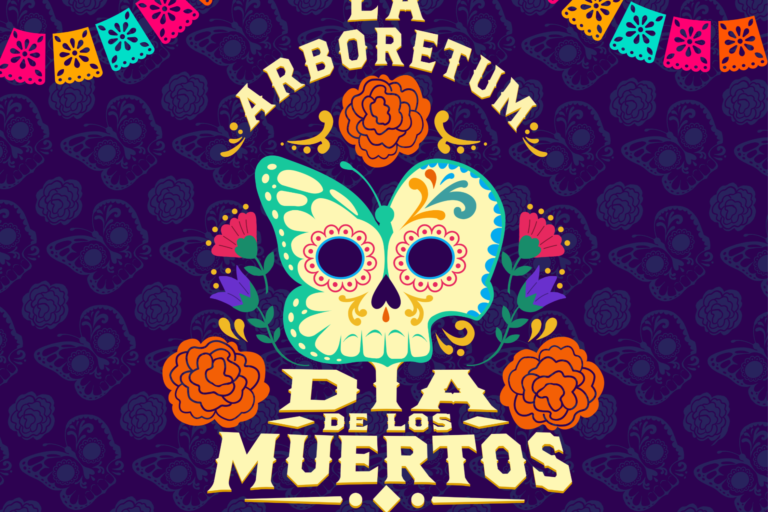 aboretum dia de los muertos flyer