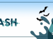 October news splash banner from Upper Water