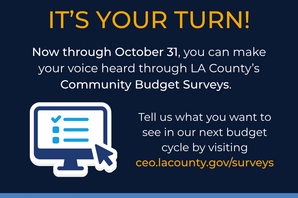 it's your turn info flyer for LA County budget survey