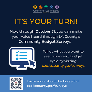 it's your turn info flyer for LA County budget survey